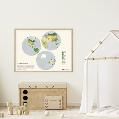 Earth Biomes